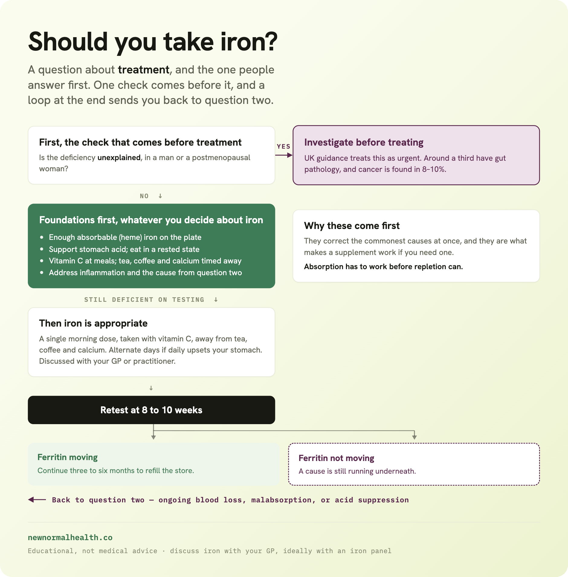 Question 3 of 3: should you take iron? First, the check that comes before treatment: is the deficiency unexplained, in a man or a postmenopausal woman? If yes, investigate before treating, because UK guidance treats this as urgent, around a third have gut pathology and cancer is found in 8 to 10 percent. If no, foundations first whatever you decide about iron: enough absorbable heme iron on the plate, stomach acid support and eating in a rested state, vitamin C at meals with tea, coffee and calcium timed away, and addressing inflammation and the cause from question two. These come first because they correct the commonest causes at once and are what makes a supplement work; absorption has to work before repletion can. If you are still deficient on testing, iron is appropriate: a single morning dose with vitamin C, away from tea, coffee and calcium, alternate days if daily upsets your stomach, discussed with your GP. Retest at 8 to 10 weeks. If ferritin is moving, continue three to six months to refill. If it is not moving, a cause is still running underneath, which sends you back to question two.